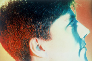 Curtis by Susan Shaw