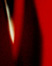 Susan Shaw, SL Shaw Susan L Shaw, artist, painter. photographer