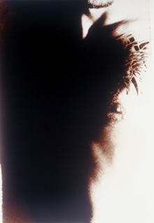 Untitled XLI by Susan Shaw