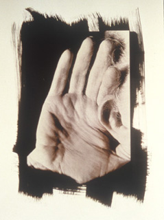 Untitled XXVII by Susan Shaw