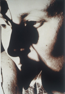 Untitled XXXIV by Susan Shaw
